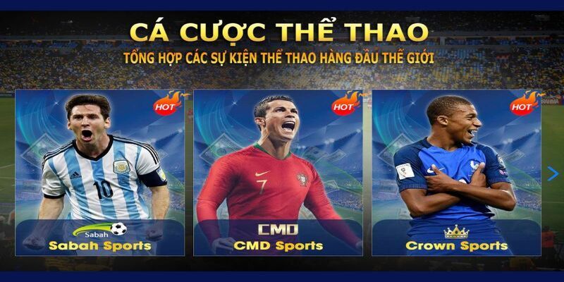 Các tin tức, sự kiện sẽ luôn được cập nhật một cách thường xuyên, nhanh chóng