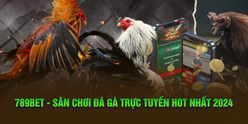 789bet - Sân chơi đá gà trực tuyến hot nhất 2024