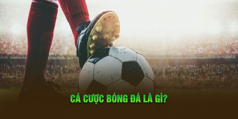 Cá cược bóng đá là gì?