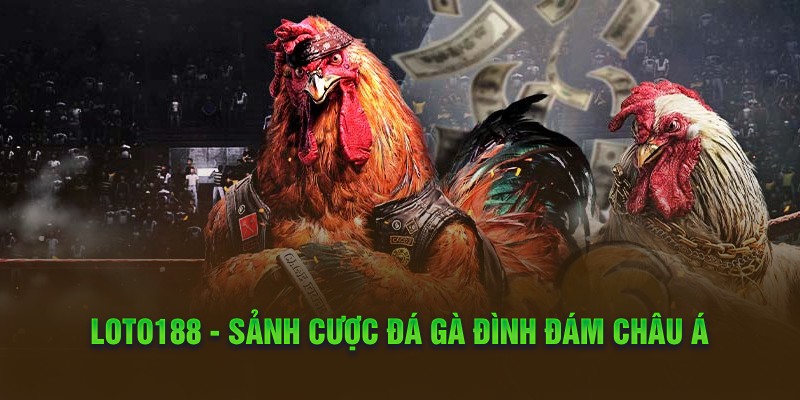 Loto188 - Sảnh cược đá gà đình đám châu Á