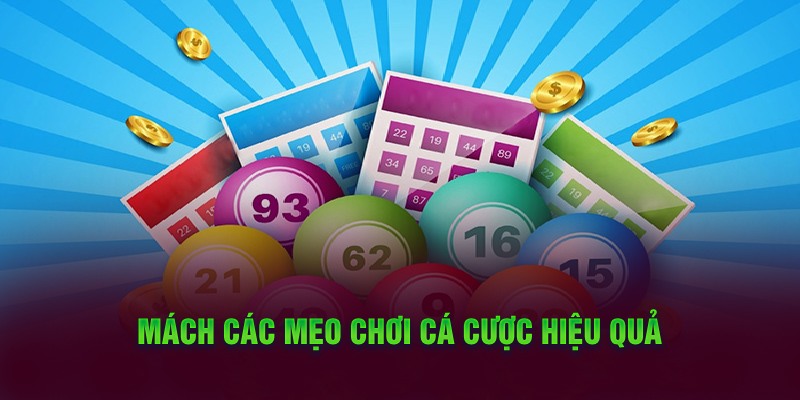 Mách các mẹo chơi cá cược hiệu quả